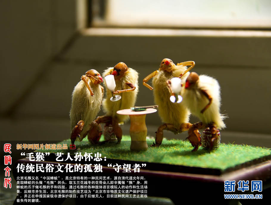 北京毛猴又名"中国蝉蜕,是北京特有的一种民间
