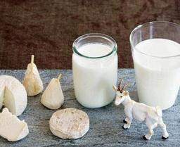 国内乳企全球布局羊奶源 羊奶粉行业成待开发蓝海