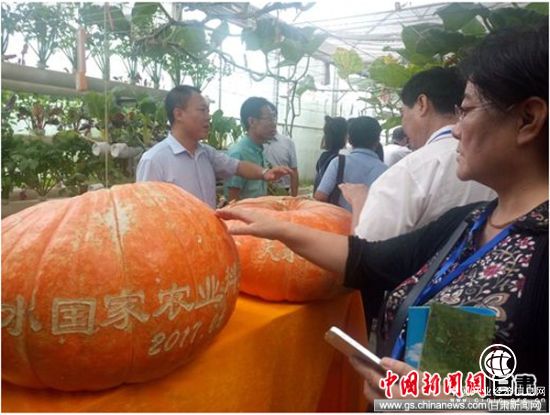 媒体记者采访天水国家农业科技园区。
