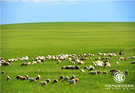 内蒙古打造农牧业电商新模式