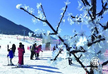 返乡团圆或旅游过年 兔年春节呈现出行新气象