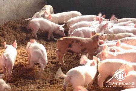 环保力度提升 生猪养殖业面临治污压力不断加大