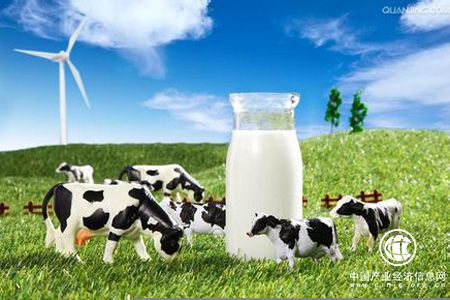 原料奶价格持续走低 上游乳企“期中考”成绩一片惨淡