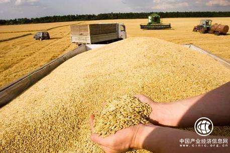联合国粮农组织预计2017年全球谷物库存或创新高
