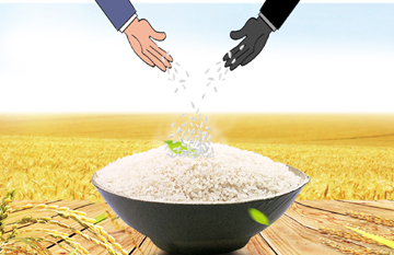 稻米市场产业病丛生：掺混现象普遍 收储优质难优价
