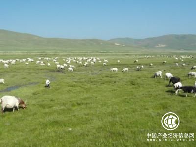 内蒙古：“秸秆变肉”促农牧业发展