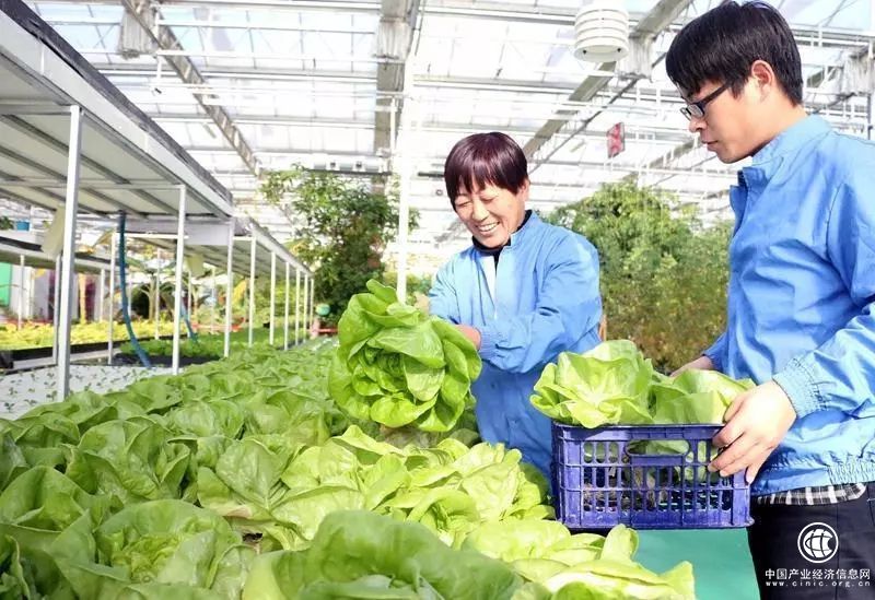 农业部与北京市签署合作协议 共建北京农产品绿色优质安全示范区