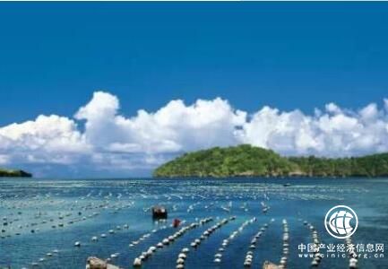 山东青岛即墨加快新旧动能转换 实现海洋渔业转型升级