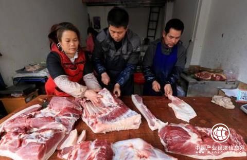 猪肉价格创八年新低  部分养殖户巨亏离场  行业加速洗牌