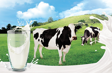 奶源过剩局面短期难以扭转 产业链上下游携手抵御市场风险