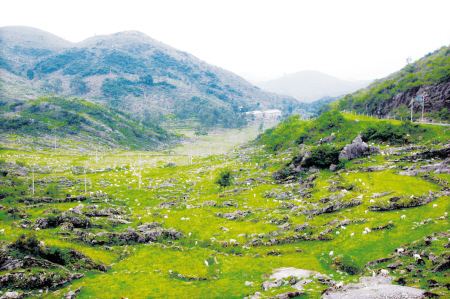 贵州石漠化山区：科技进山带动产业扶贫收效明显