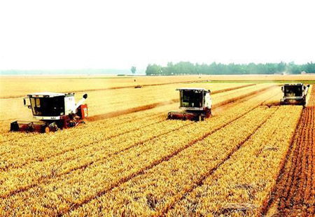 全年粮食丰收有了坚实基础——农业现代化稳产量提品质