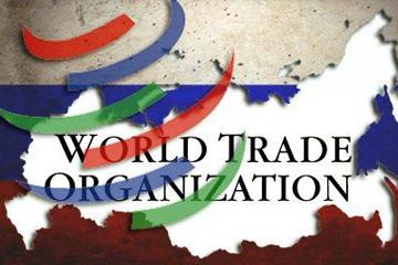 世贸组织改革应坚持三个基本原则和五点主张——商务部回应WTO改革热点问题