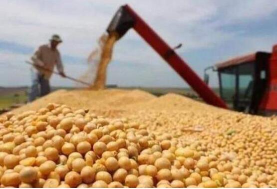 黑龙江省释放2024年粮食和大豆生产政策信号