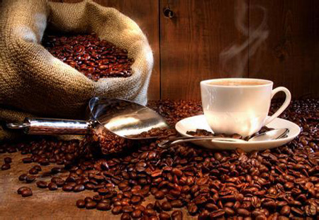 云南农大建成国内首家咖啡发酵专用微生物菌种资源库