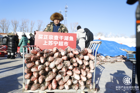 正宗查干湖胖头鱼上市了!苏宁超市有卖!