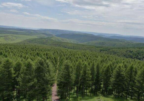 “三北”工程区已完成造林种草2000多万亩