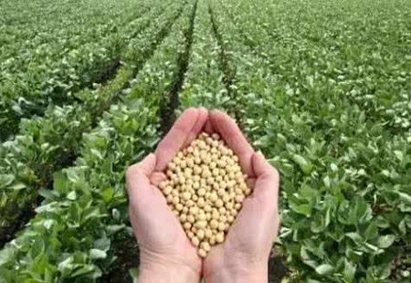 大豆种植补贴每亩提高至100元！山西多举措促进农民持续增收