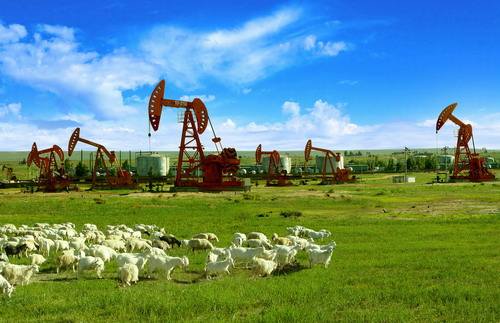 中国石油发布2022年度社会责任报告