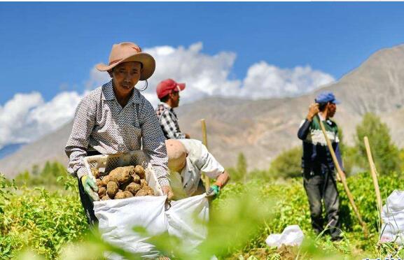 西藏：一季度农牧民人均可支配收入增速达16.7%