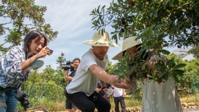 蚂蚁帮农旅三农网红直播助力乡村振兴!