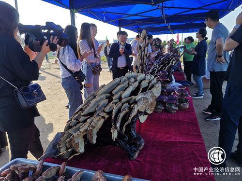 坤健农业：用灵芝铺设“健康致富之路”