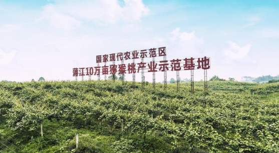 四川省蒲江县国家现代农业产业园创建纪实