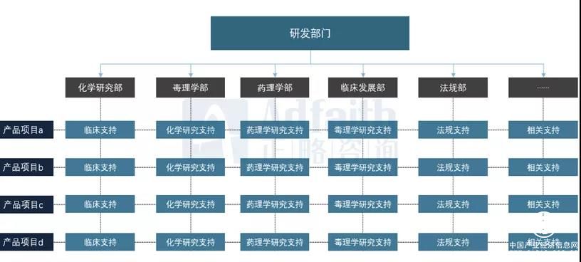 图2:某医药企业矩阵式研发组织模式