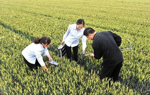 陕西省加强农业技术攻关助力乡村振兴