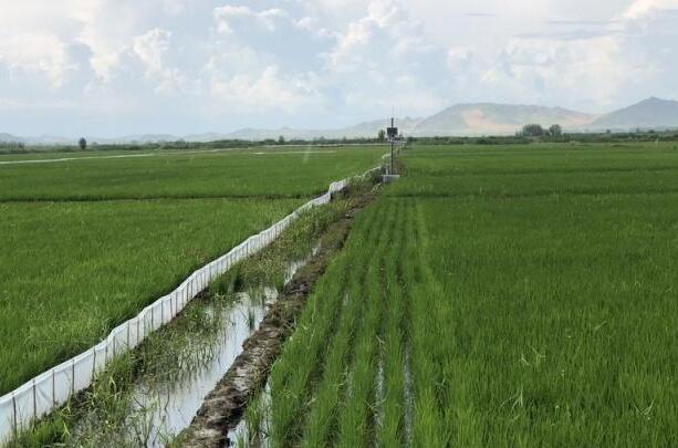 福建超一半农垦农场完成公司化改造