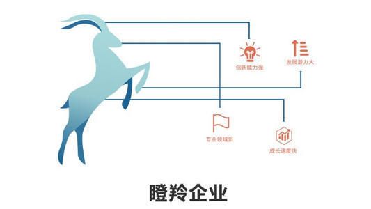 2019中国瞪羚企业榜单 临沂91家企业入围