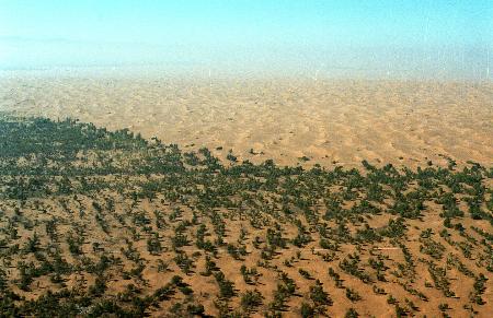 连续十五年荒漠化和沙化面积双缩减
