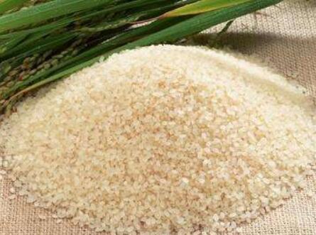 2020年7月稻米市场供需形势分析：国内米价基本稳定 国际米价下跌