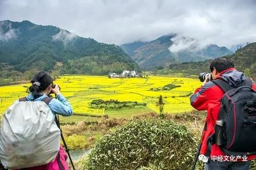 地方战“疫” | 不少文旅企业或将破产，安徽如何应对？