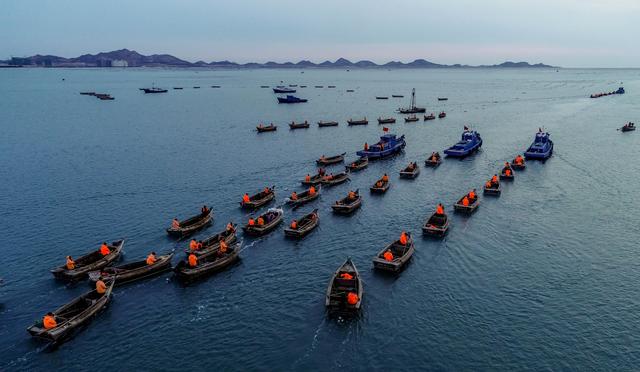 山东荣成：看百舸争流 海带收获正当时