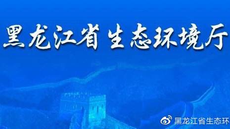 黑龙江省公开中央环境保护督“回头看”反馈意见整改情况