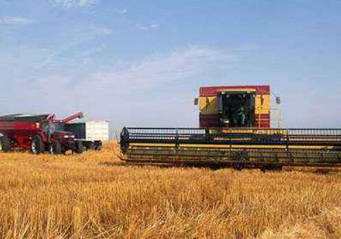 全国大规模小麦跨区机收全面展开