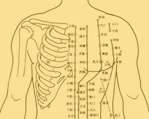 人体是否有"穴位"存在?