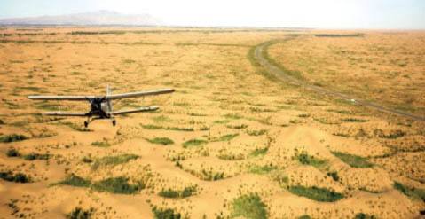 内蒙古2024年计划完成防沙治沙1500万亩