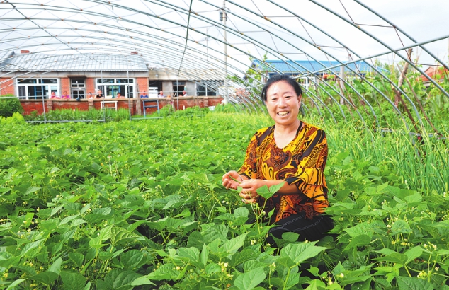 兰西：小小庭院地致富“聚宝盆”