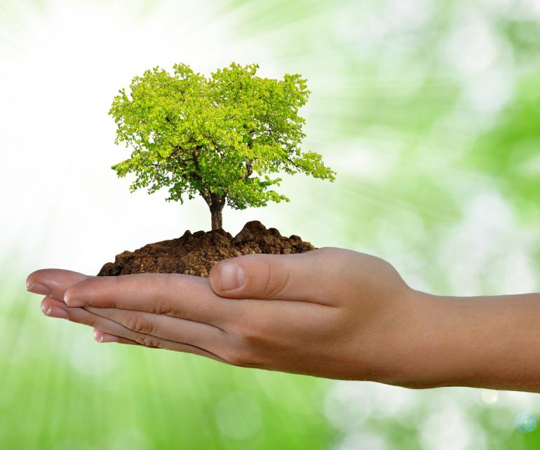生态环境部：加大环保产业投入 2020年安排523亿元生态环境资金