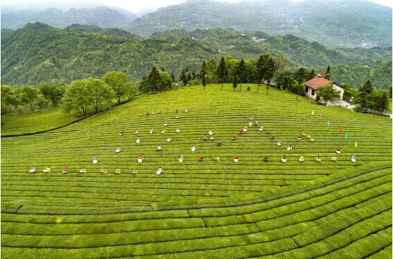 湖南发布5条瓷茶旅自驾游线路