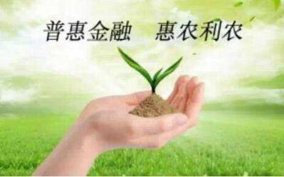 中国银行广东省分行县域金融助推乡村振兴加速发展