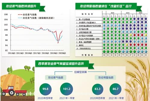 农业经济持续向好 农民收入增长稳定