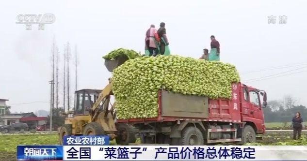 农业农村部：全国“菜篮子”产品价格总体稳定