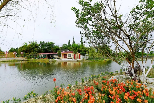 火花村：文旅搞上去，会有“火树银花”