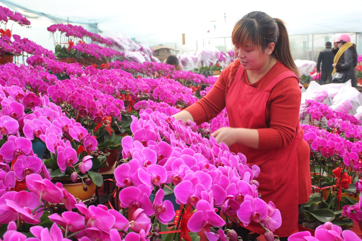 山东潍坊创新“青州模式”推动国家级农综区高质量发展