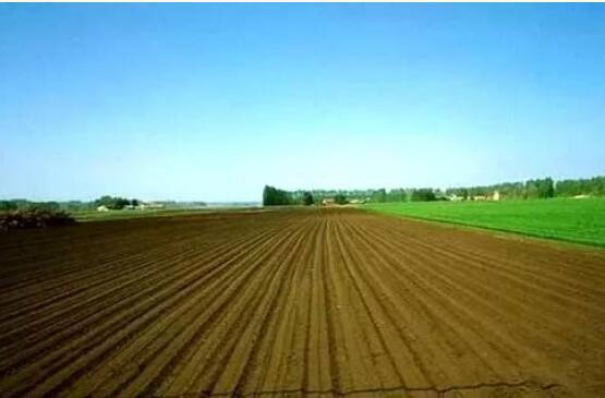 黑龙江省今年拟实施耕地轮作试点超2600万亩