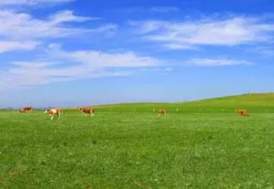 内蒙古：通过科学保护管理 促进草原休养生息