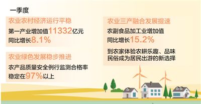 一季度第一产业增加值同比增8.1% 农业高质量发展态势良好